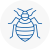 Bed Bug Extermination In Barlborough